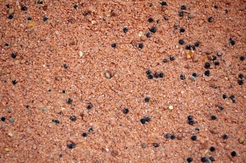 Boilies Zmes KLUB RED 2kg