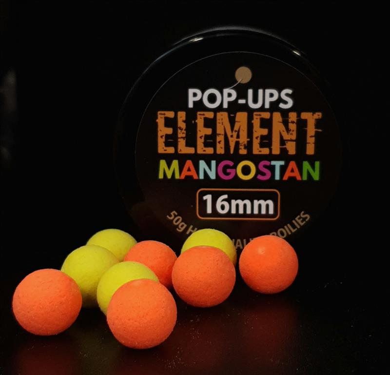 CONQUER ELEMENT POP UP 16mm 50g MANGOSTAN