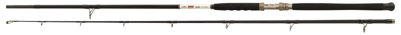 RAGE CAT CATFISH BANK ROD 3,2m 3-400g